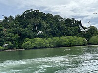 IMG_5568
