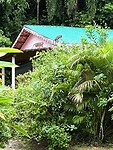 IMG_5553