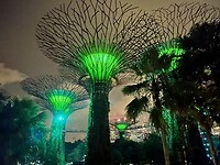 IMG_5738