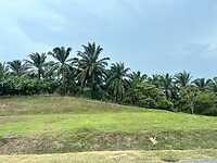 IMG_5756