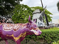 IMG_5758