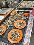 IMG_5760