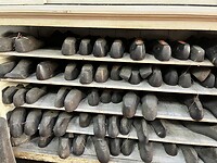 IMG_5774