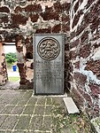 IMG_5798