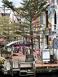 IMG_5803