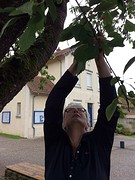 Even kersen plukken