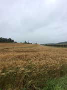 Het landschap is hier weinig afwisselend