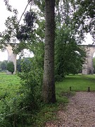 Chartres