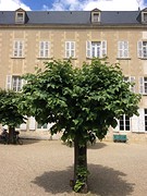 Diaconessenhuis in Poitiers