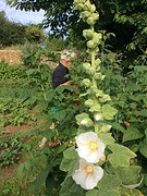 De tuin van Francois
