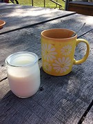 Koffie en yoghurt