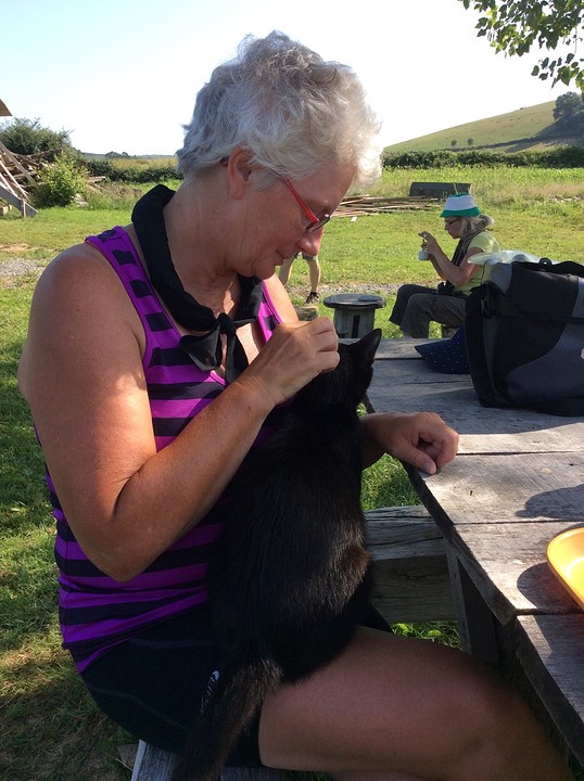 Rustplaats met verdwaalde kat
