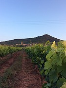 Torres del Rio