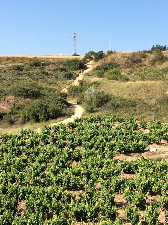 Het pelgrimspad van de lopers