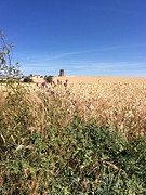 De Meseta (Spaanse hoogvlakte)