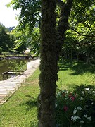 Onze tuin van de auberge