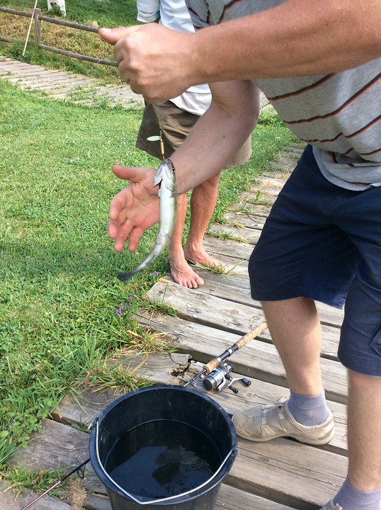 Forel voor de maaltijd