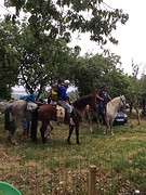 Te paard naar Santiago