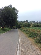 Melide