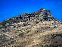 IMG_5863