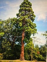 IMG_5868
