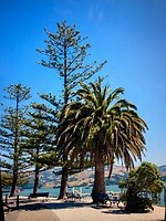 IMG_5876