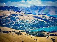 IMG_5878