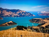IMG_5879