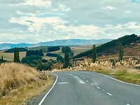 IMG_5889