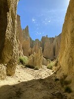 IMG_3704