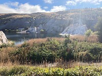 IMG_6020