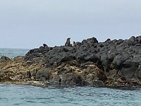 IMG_3796
