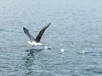 IMG_3789