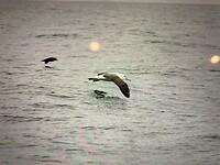IMG_6079