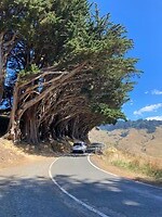 IMG_6096