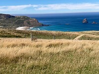 IMG_6095