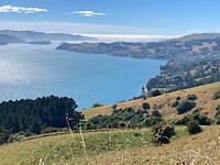 IMG_6094