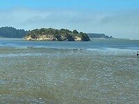 IMG_6100