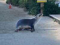 IMG_3848