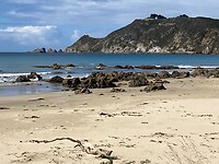 IMG_6116