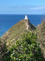 IMG_6120