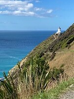 IMG_6121