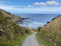IMG_3876