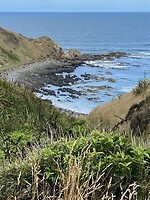 IMG_3875