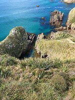 IMG_3874