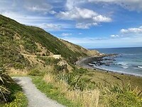 IMG_3877