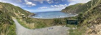 IMG_3881