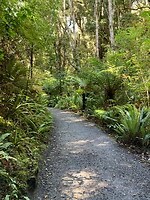 IMG_6149