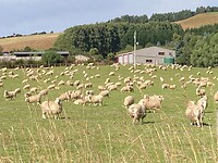IMG_6148
