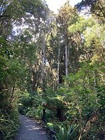 IMG_3889